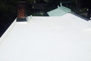 IMG_5163 IMG_5163
